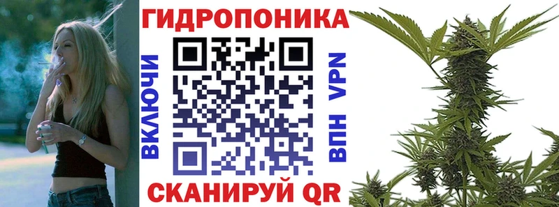 Бошки Шишки ГИДРОПОН  сколько стоит  Крымск 